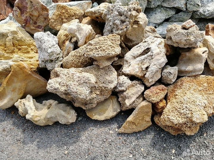 Природный камень коралл