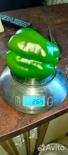 Продам перец под заказ, сбор на следующей неделе