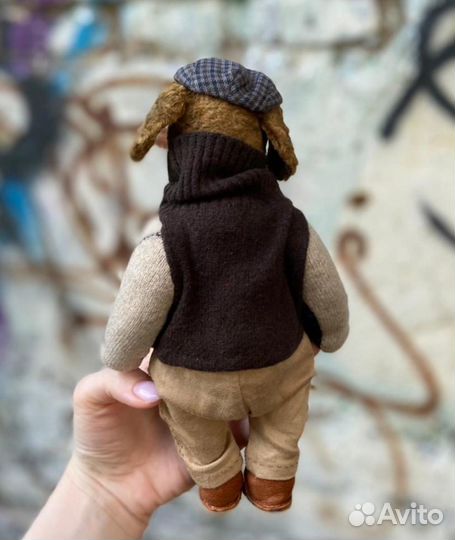 Тедди собака