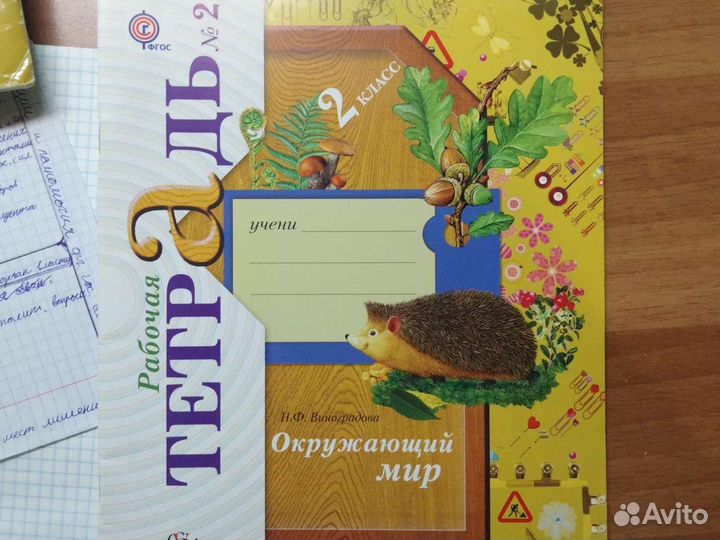 Рабочая тетрадь 2 класс номер 2 Окружающий мир