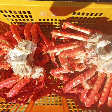 Морепродукты