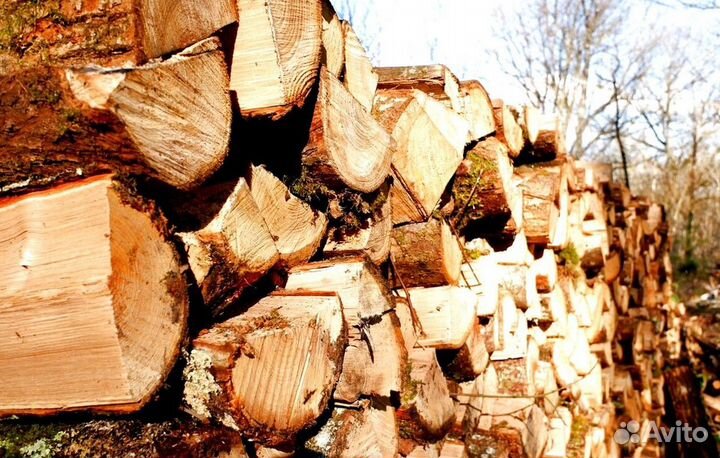 Дрова березовые