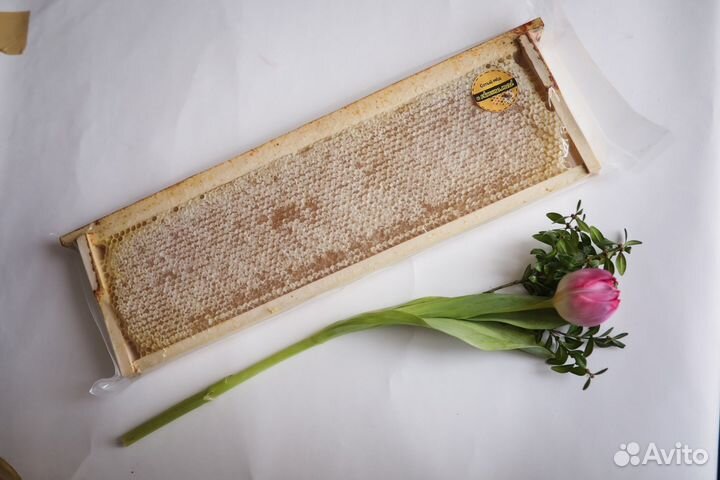 Мед в сотах 2023