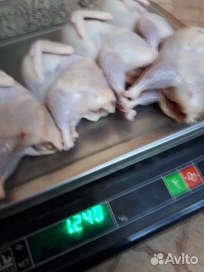 Мясо перепела