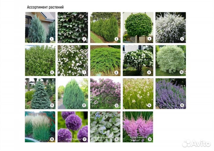 Создание планировки участка, зон отдыха, цветников