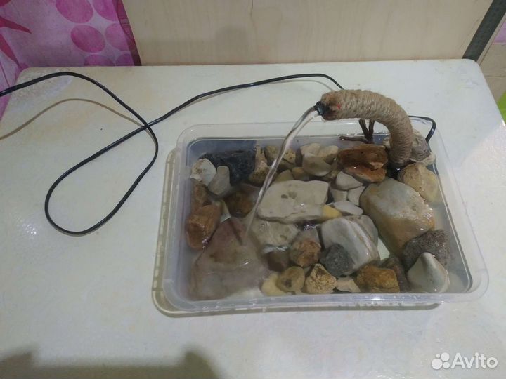 Купалка для птиц