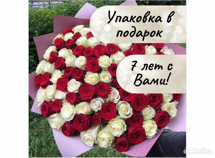 Розы цветы букеты с доставкой 101 51 31 роза