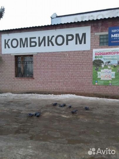 Комбикорм для сельхоз животных