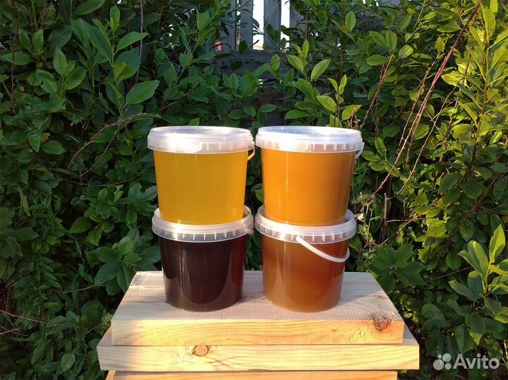 Вкусный и полезный мед