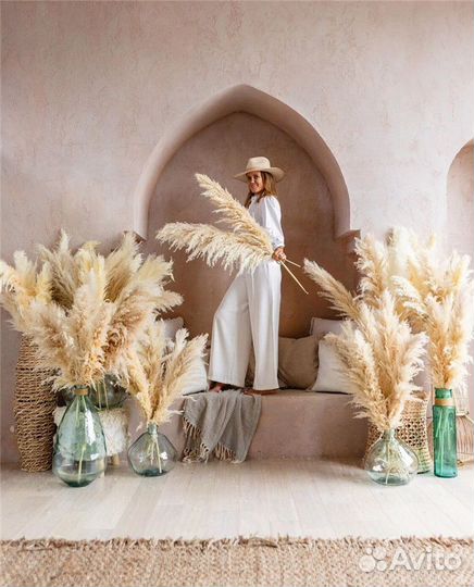 Пампасная трава. Сухоцветы. Тростник