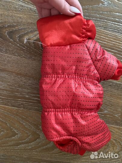 Ошейники и поводки для собак