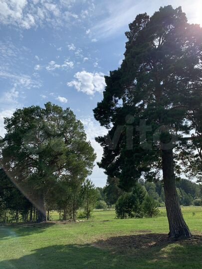 Участок 10 сот. (СНТ, ДНП)