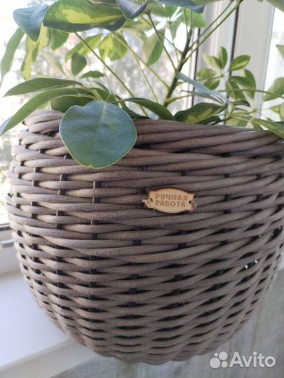 Кашпо для цветов