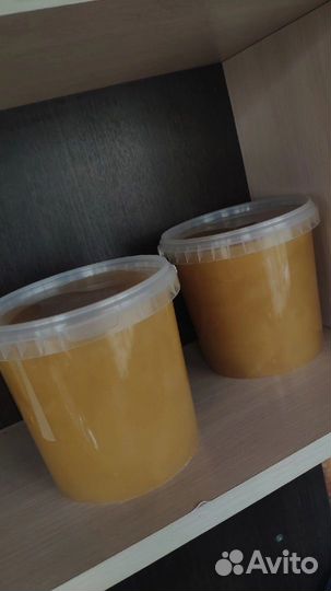 Мед кипрей + золотая розга