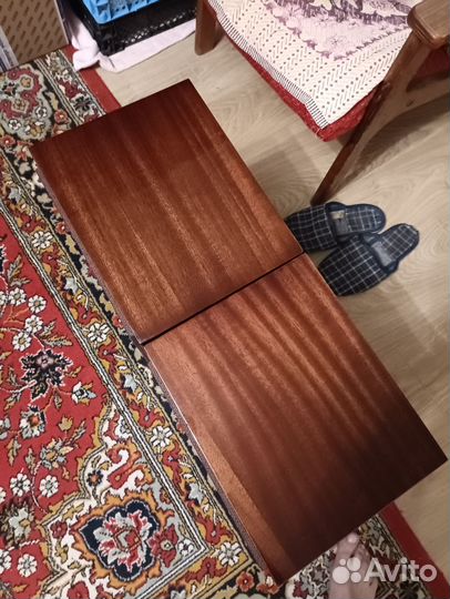 Колонки Вега 25ас-302