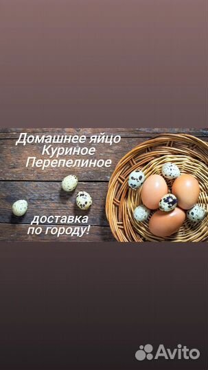 Яйцо домашнее