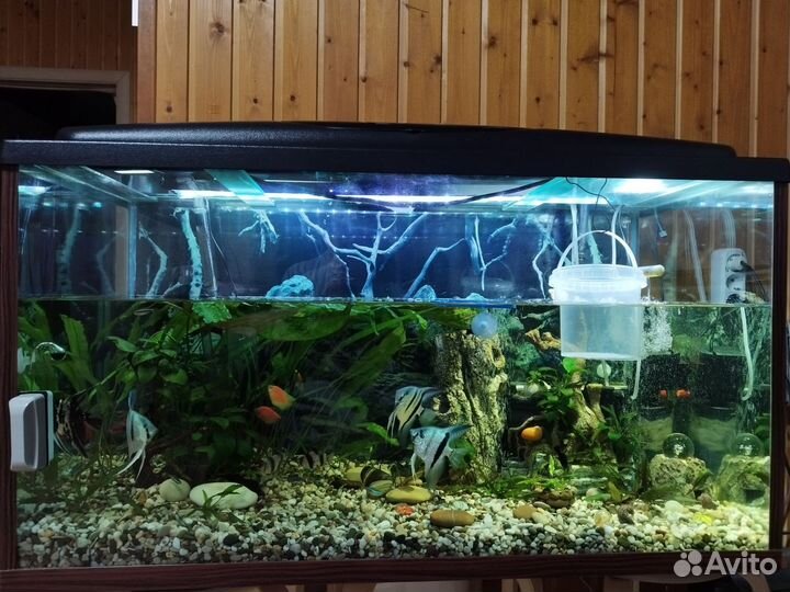 Украшение для аквариума