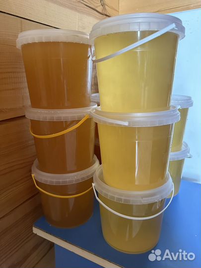 Мед цветочный и донниковый