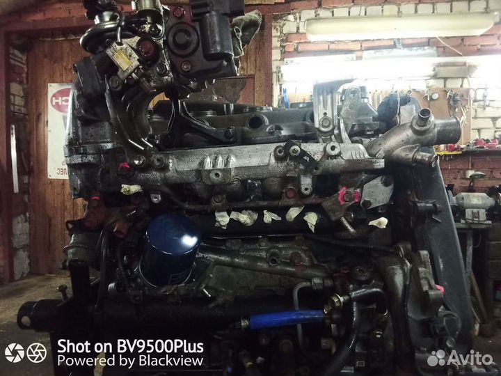 Двигатель Toyota Land Cruiser 120. 1KD