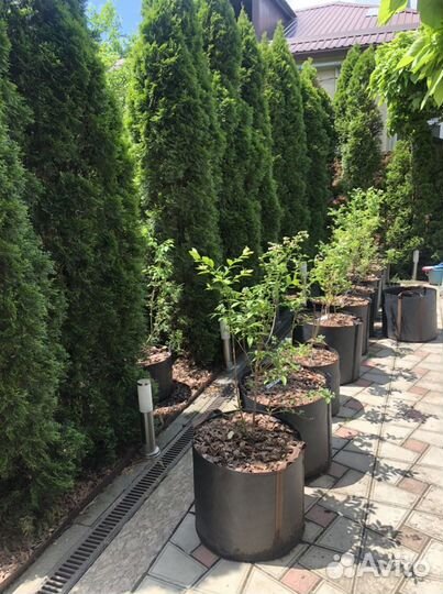 Сумки для выращивания растений grow bag