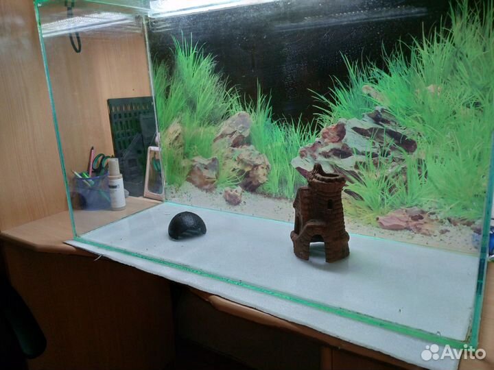Аквариум