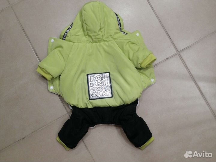 Одежда для собак мелких пород