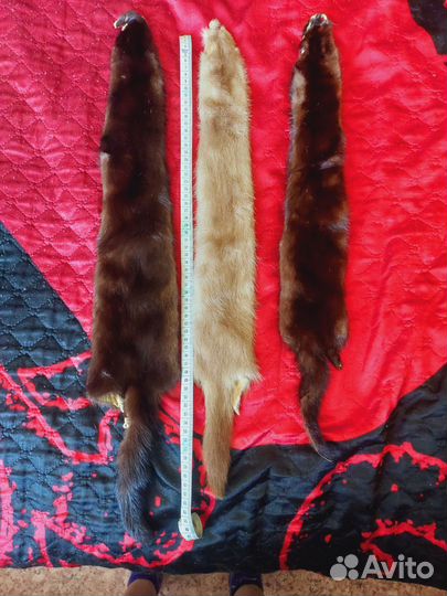 Шкурки норки