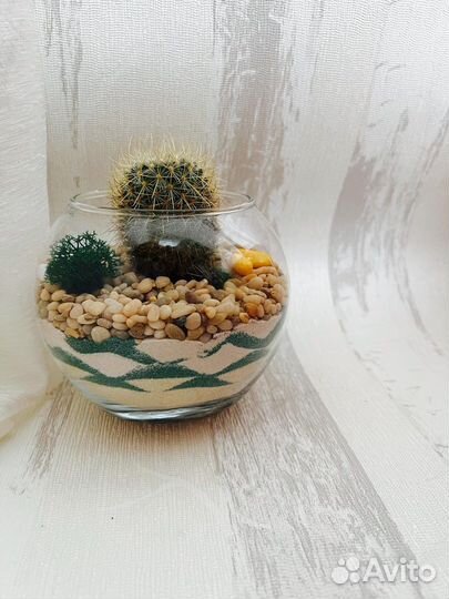 Флорариум с кактусом