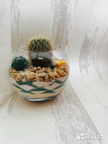 Флорариум с кактусом