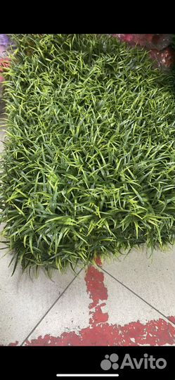 Искусственная трава