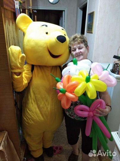 Ростовой костюм Тигра и Винни Пуха