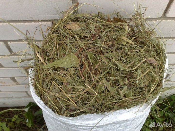 Продам сено