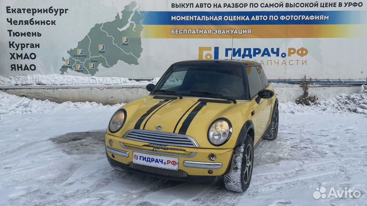 Накладка декоративная на решетку радиатора Mini Co