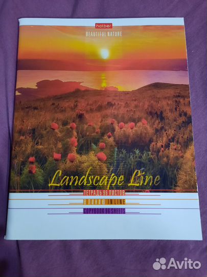 Тетрадь общая 96 листов клетка и линия