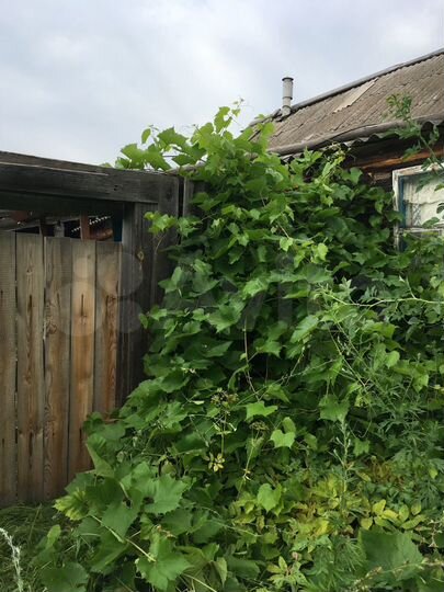 Дом 28 м² на участке 15 сот.