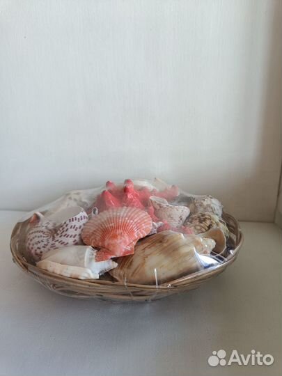 Набор морских ракушек в корзине