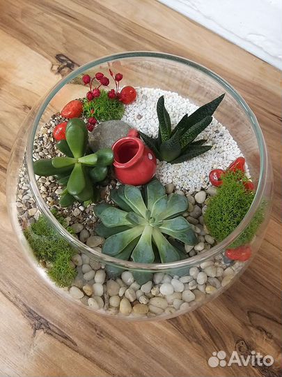 Цветы, флороариум