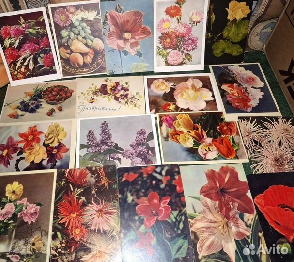44 старинные открытки цветов, 50-60 годы