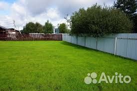 Посевной газон под ключ