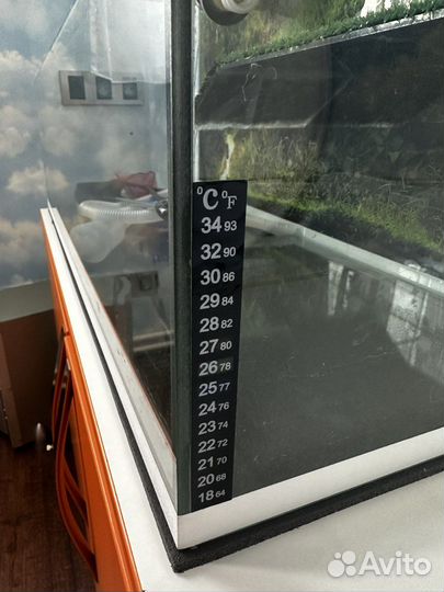 Террариум для красноухой черепахи