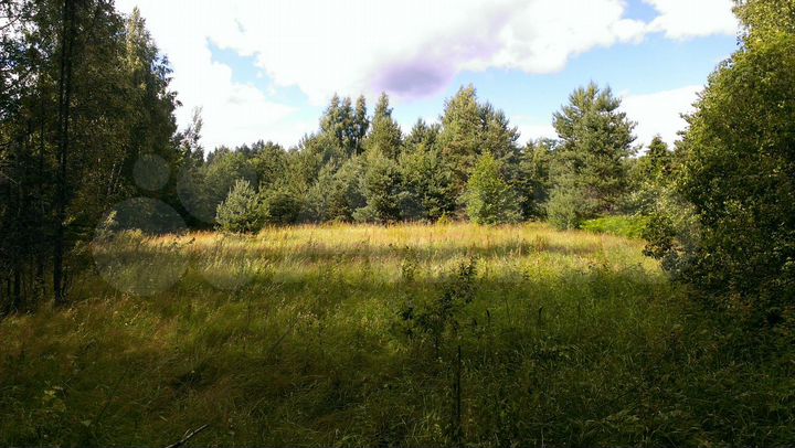 Участок 50 га (СНТ, ДНП)