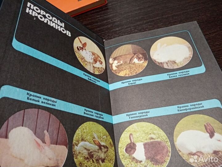 Сысоев. Приусадебное кролиководство, М., 1990 год