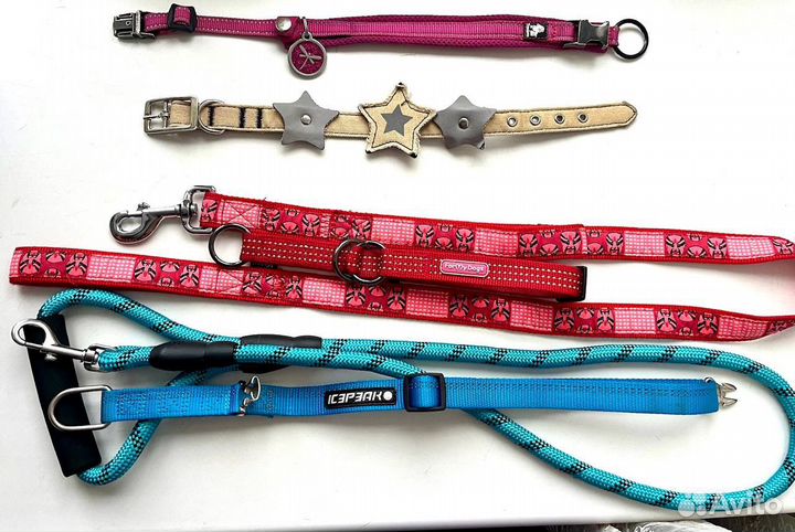 Амуниция для собак