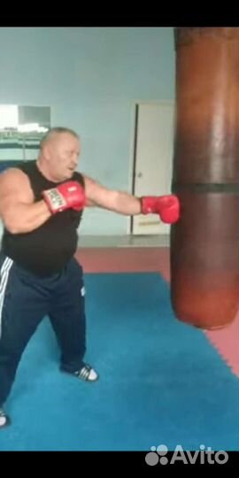 Бокс, Кик-боксинг, Киокушинкай