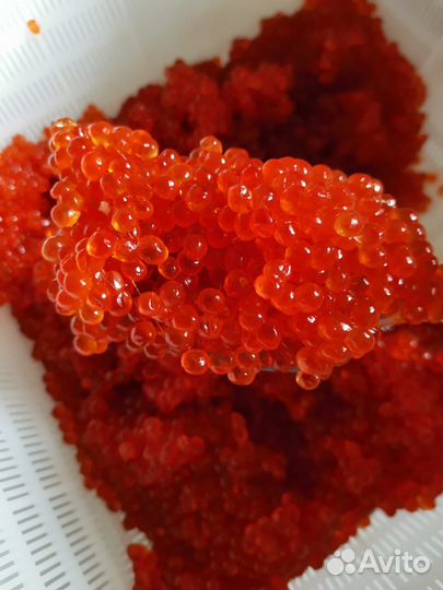 Икра красная, вкусная, среднесоленая, малосоленая