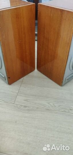 Акустическая система 15 ас 220 (кантата)