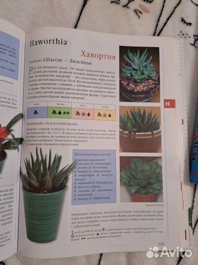 Книги новые