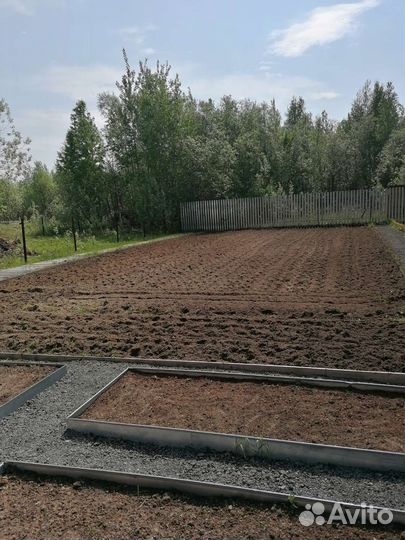 Вспашка земли.Спил деревьев