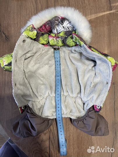 Одежда для собак