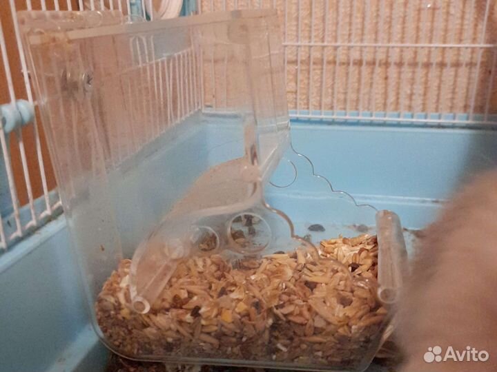 Клетка для грызунов